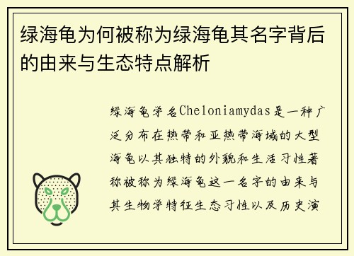 绿海龟为何被称为绿海龟其名字背后的由来与生态特点解析